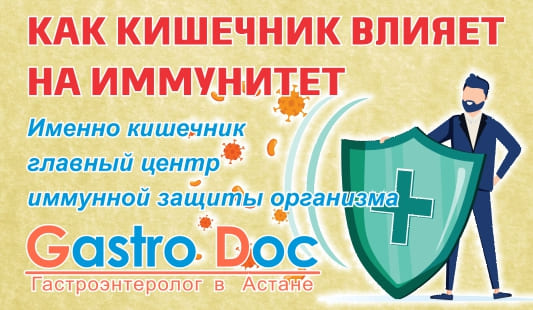 Как кишечник влияет на иммунитет - связь, о которой не все знают